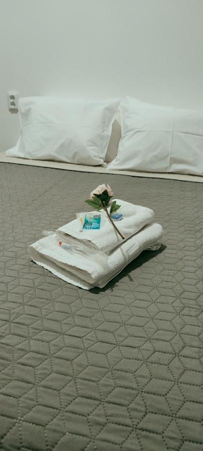Vila Santa Cruz Guest House ブラガ エクステリア 写真